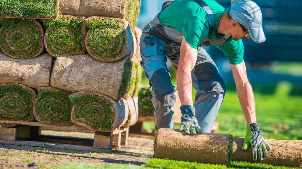 landscaping and lawn care