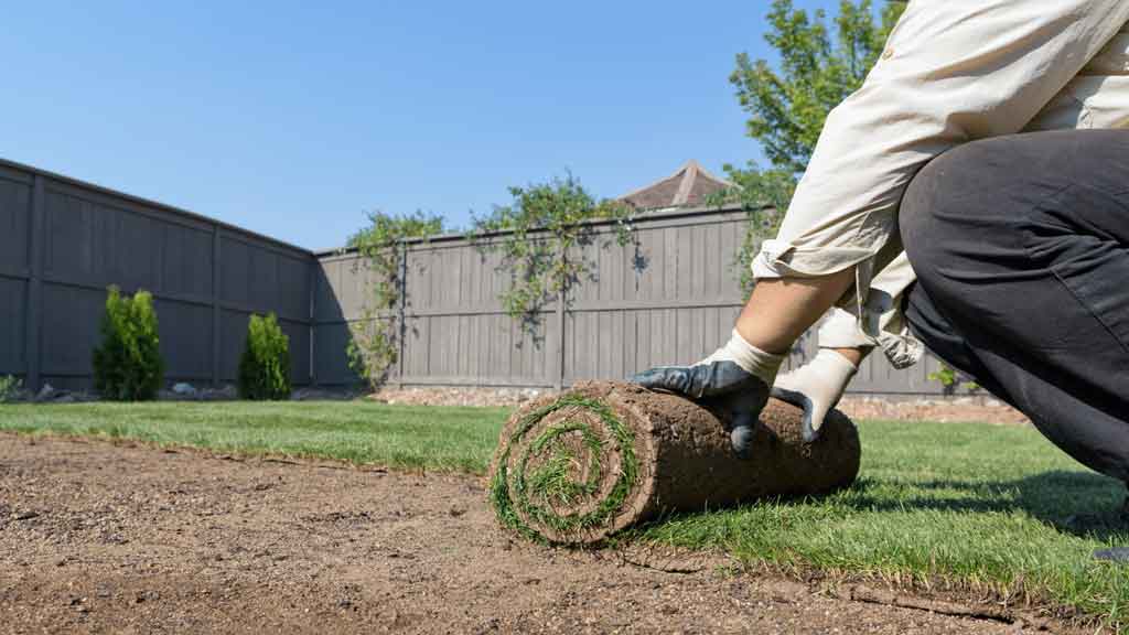 best landscaping services near me